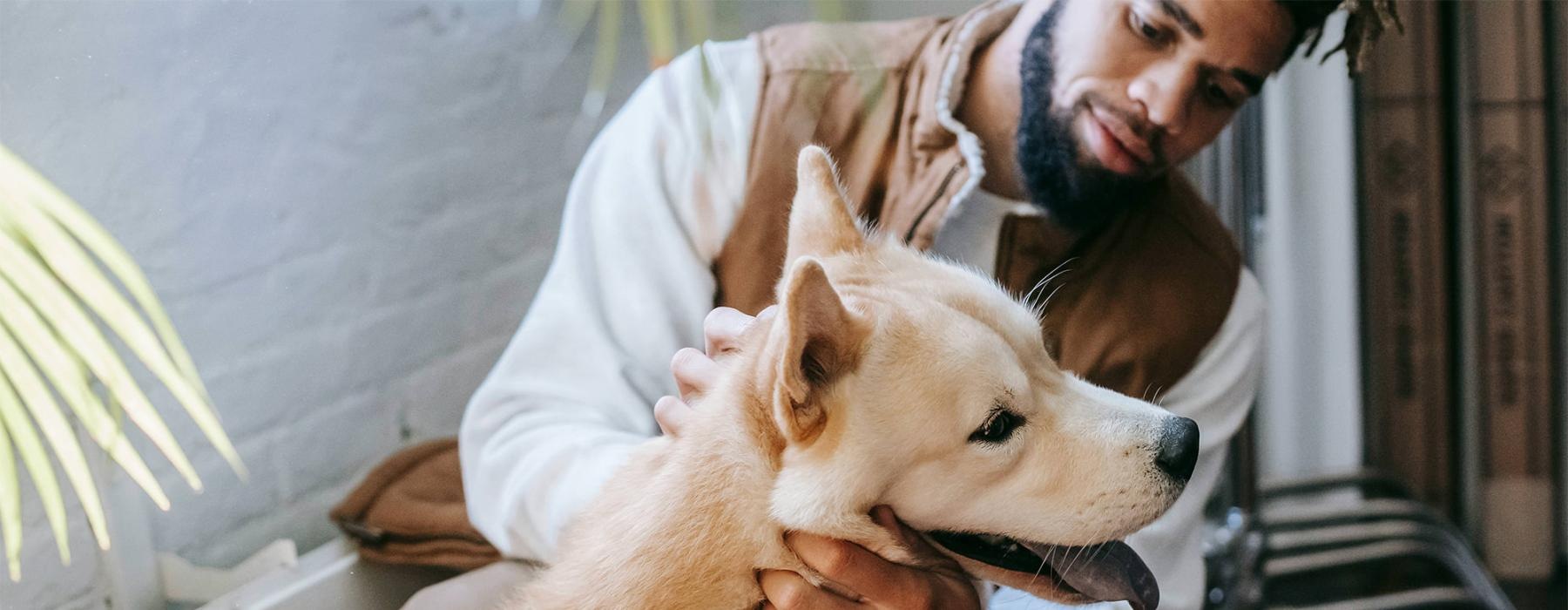 a person holding a dog