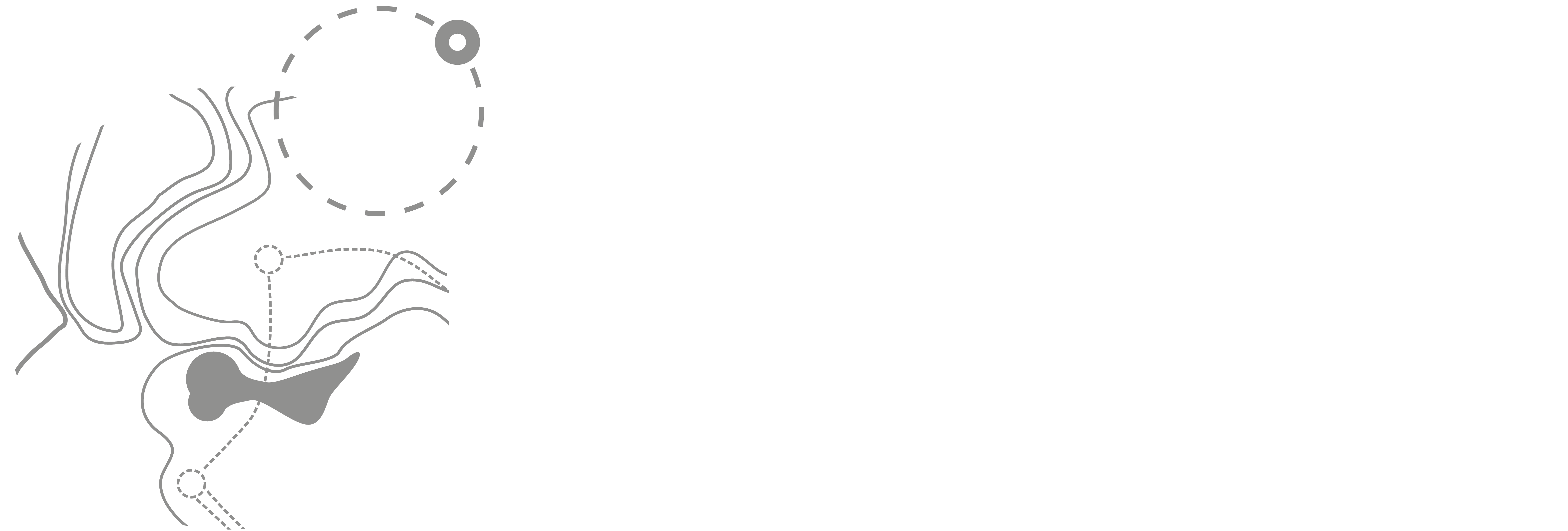 Perimeter Pointe